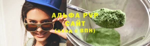 PSILOCYBIN Покачи
