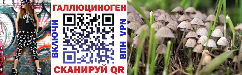 shop Telegram  Белая Калитва  Галлюциногенные грибы Magic Shrooms 